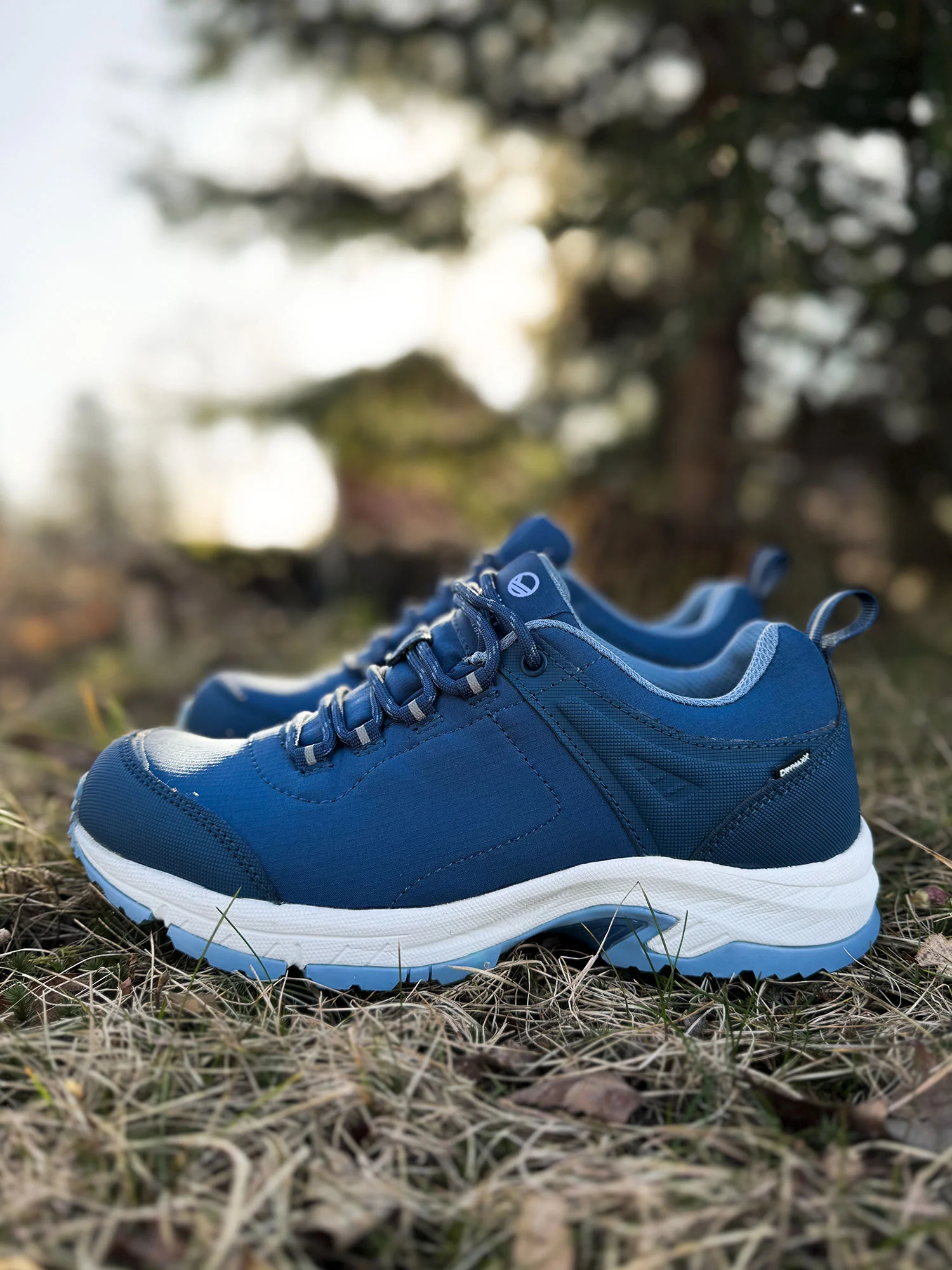 Pikkukuva 2